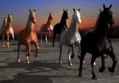 Horse racing